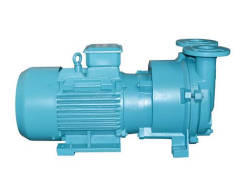 2BV 系列水环式真空泵及压缩机